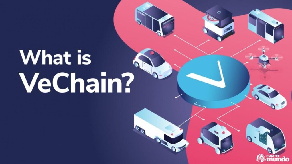 65l2jc0aqrkdfyibb92o_20_12_what-is-vechain