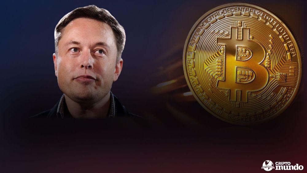 large_09_elon_musk_s_effect_on_btc_and_doge_prices_26d4470b25