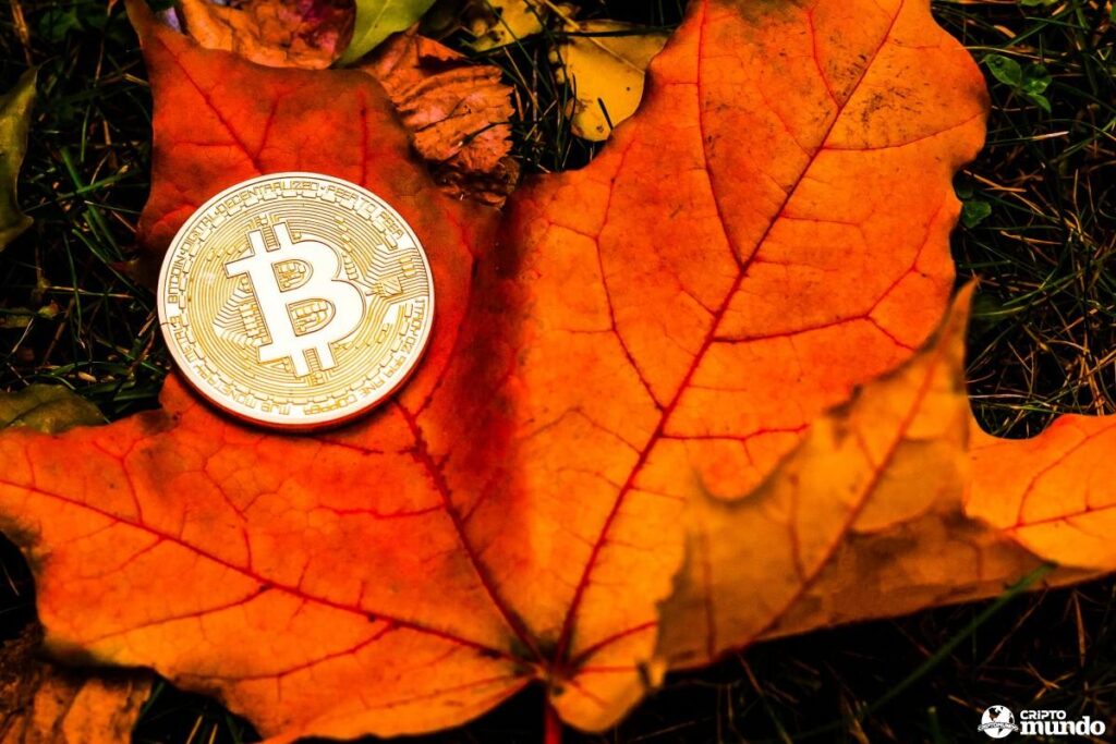 bitcoin-crypto-thanksgiving-shutterstock_1503194822