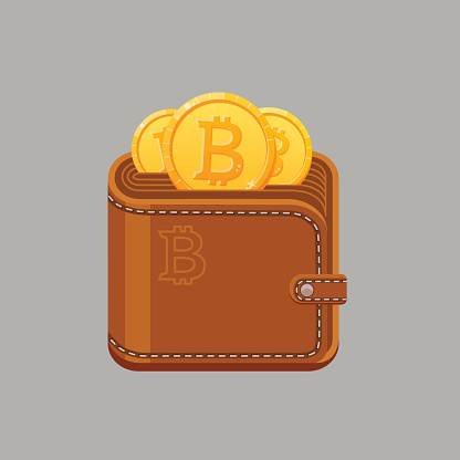 brown-bitcoin-wallet-with-cash-gold-coins-isolated-vector-illustration